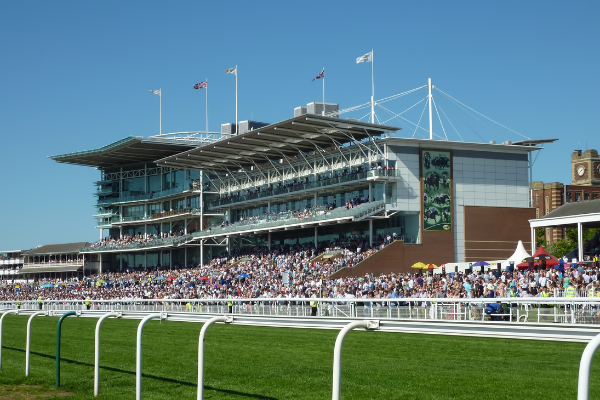 Racing Foundation funds access audit programme to enhance raceday experience for disabled racegoers Image Racing Foundation funds access audit programme to enhance raceday experience for disabled racegoers Image