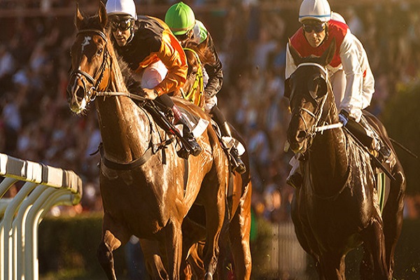 Horse racing tracks uk Horse racing tracks uk
