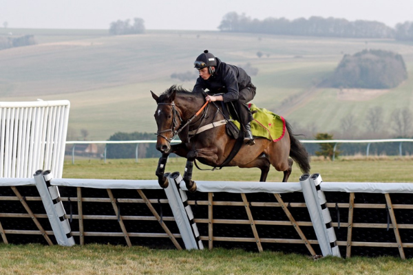 British racecourses change take-off & height markers following research backed by Racing Foundation