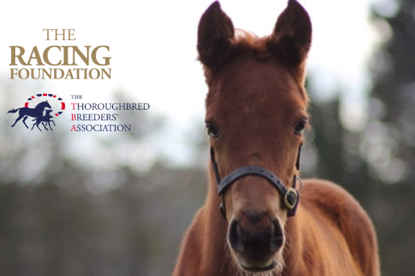 Over £360k in funding awarded to the Thoroughbred Breeders’ Association to support racing’s people and horses Banner