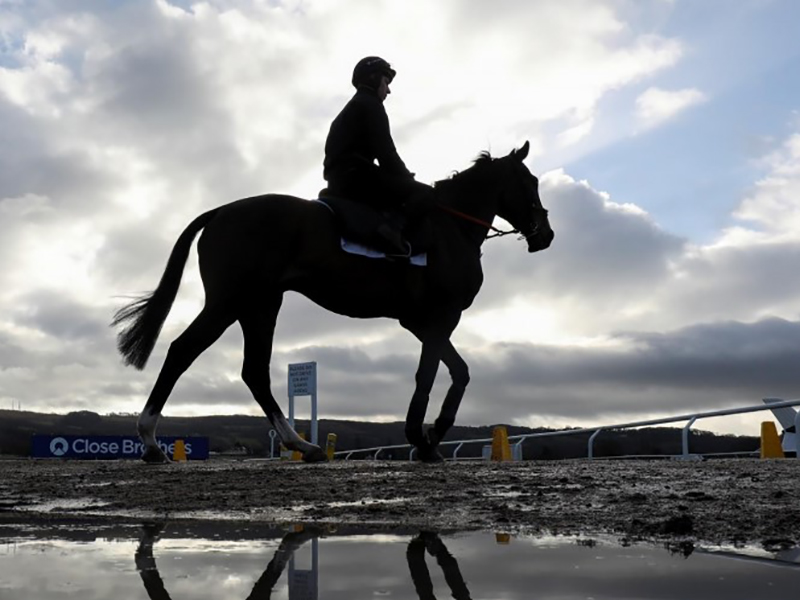Equine Science Research Grants | Racing Foundation Equine Science Research Grants | Racing Foundation