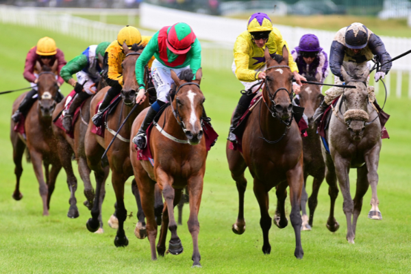 How Racing Foundation-funded risk models are being used to improve outcomes for racehorses