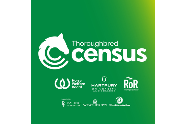 Horse Welfare Board announces results of first Thoroughbred Census funded by the Racing Foundation Banner