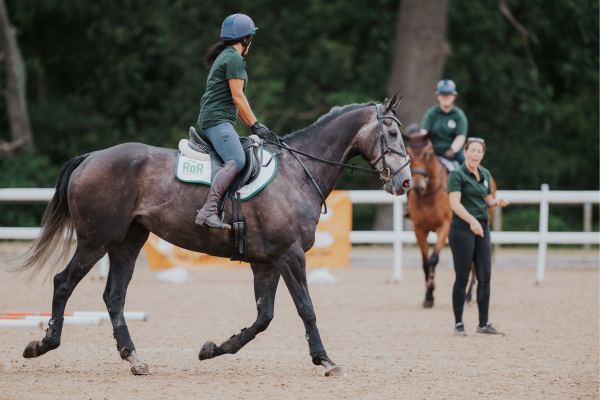 RELEASE: Retraining of Racehorses receives £321,000 grant from the Racing Foundation and the John Pearce Foundation